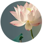 開云kaiyun